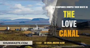 Love Canal's Toxic Legacy: Companies Responsible for the Environmental Disaster