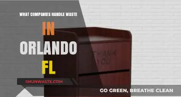 Orlando's Top Waste Management Companies: Who Handles Your Trash?