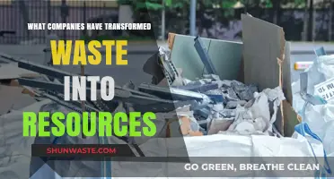 Innovative Companies Turning Waste into Valuable Resources for a Greener Future