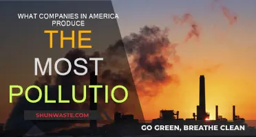 Which American Companies Pollute the Most?