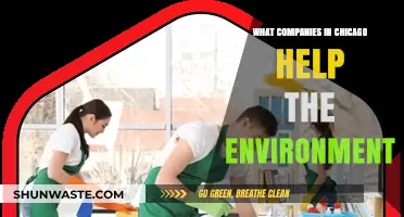 Chicago's Green Leaders: Companies Championing Environmental Sustainability Locally
