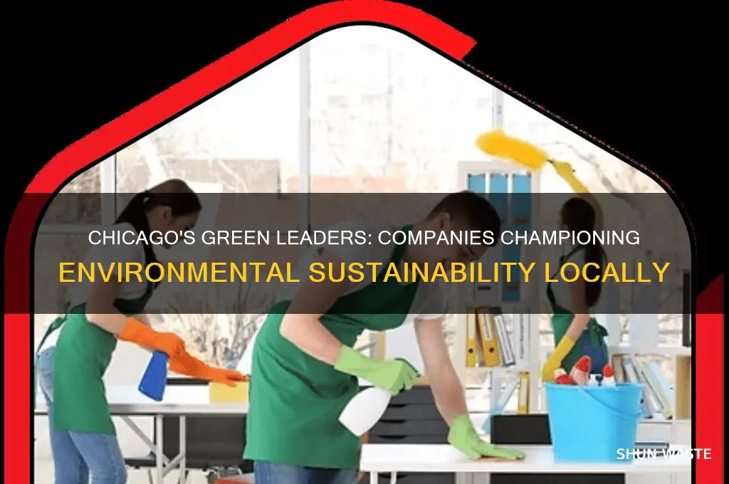 Chicago's Green Leaders: Companies Championing Environmental ...