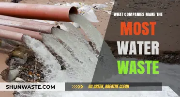 Revealed: Top Companies Contributing to Excessive Water Waste Globally