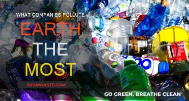Which Corporations Are Harming Our Planet the Most?