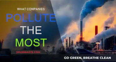 Which Companies Are the Worst Polluters?