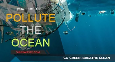 Ocean Polluters: Which Companies Are Ruining Our Seas?
