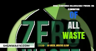 Eliminating Waste: Companies Leading the Charge in Efficiency and Sustainability