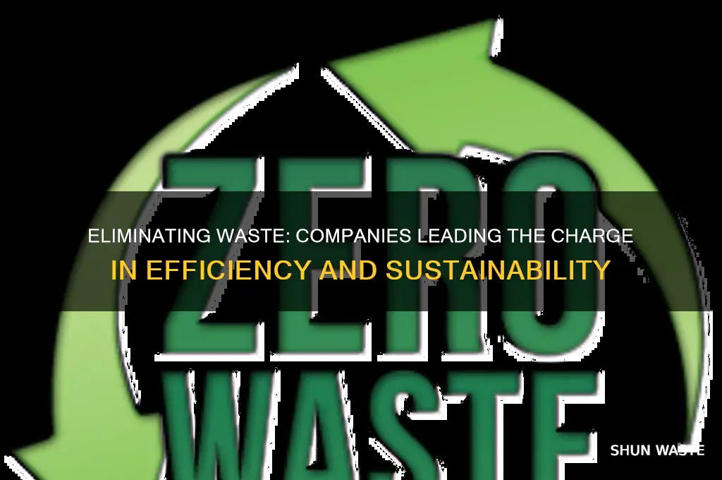 what companies relentlessly pursue the elimination of all waste