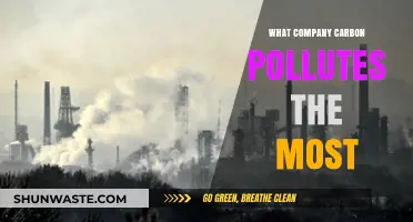Which Companies Emit the Most Carbon?