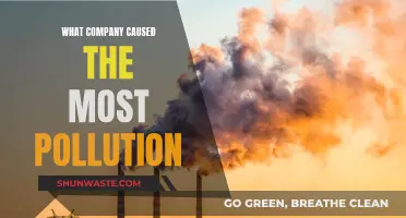 The World's Most Polluting Corporation: A Shocking Revelation