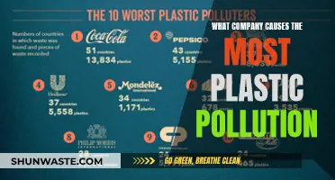 Unveiling the Plastic Polluter: Who's the Worst Offender?