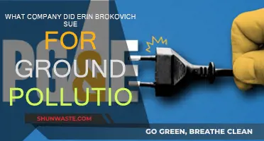 Erin Brokovich's Battle: PG&E's Ground Pollution Scandal