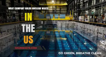 Who Manages Nuclear Waste in the United States: Key Companies