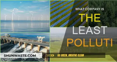 Green Champions: Who's Leading the Pollution Fight?