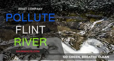 Flint River Pollution: Who is Responsible?