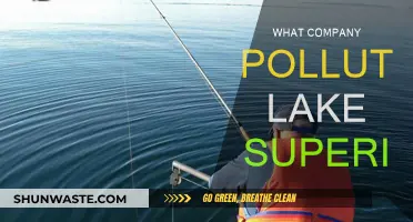 Who Polluted Lake Superior? A Company's Toxic Legacy