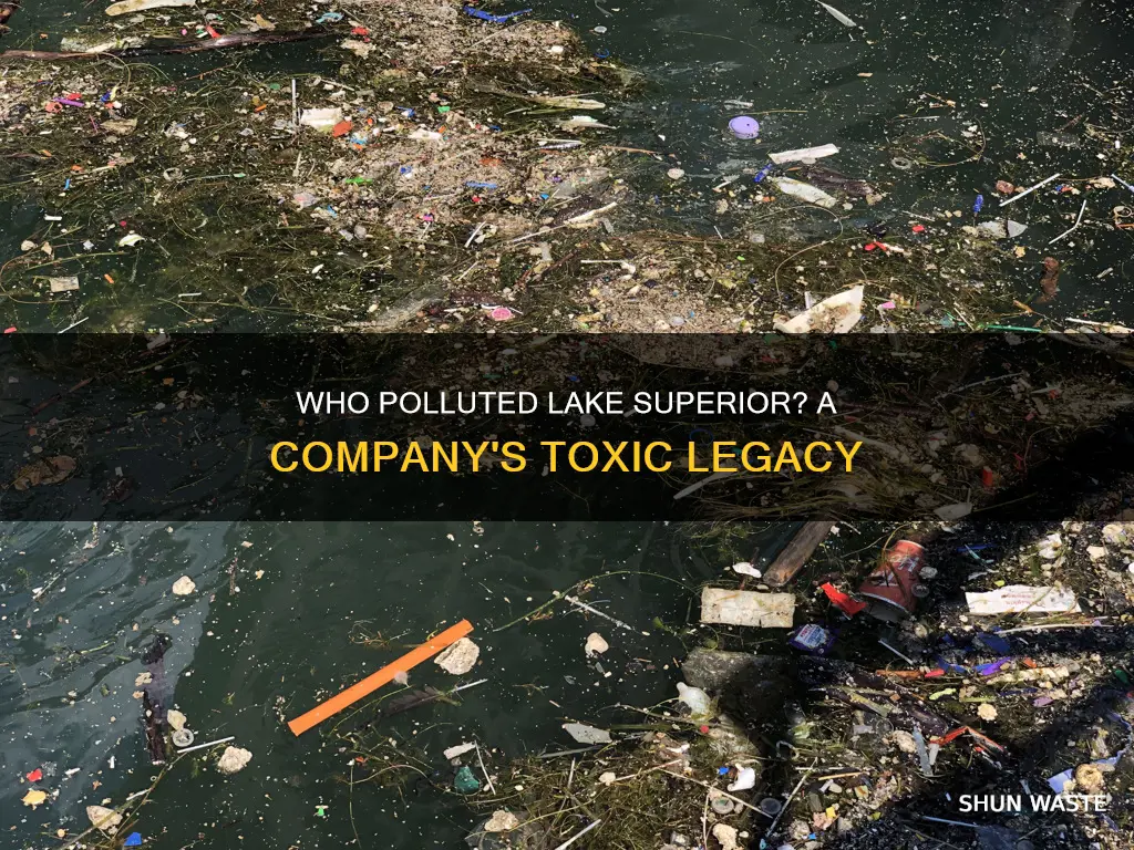 what company polluted lake superior