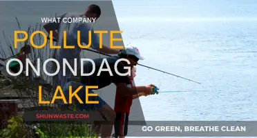 Who Polluted Onondaga Lake? A Tale of Industrial Negligence