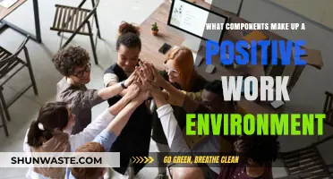 Creating a Positive Work Environment: Key Components for Success