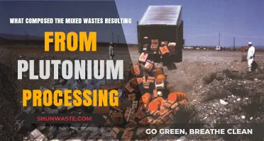Understanding the Complex Composition of Mixed Wastes from Plutonium Processing