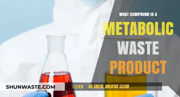 Understanding Metabolic Waste: Key Compounds and Their Role in the Body
