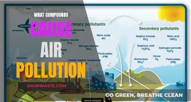 Unveiling the Chemical Culprits: Understanding Air Pollution's Complex Composition