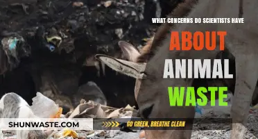 Animal Waste Concerns: Scientists Warn of Environmental and Health Risks