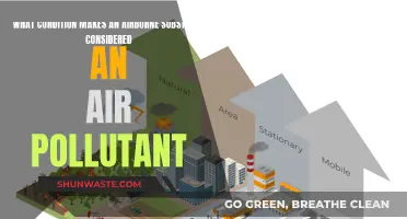 Airborne Toxins: What Makes Pollutants Harmful?