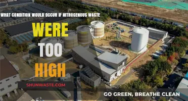 High Nitrogenous Waste Levels: Causes, Symptoms, and Health Risks Explained
