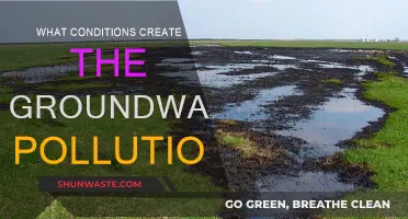 Groundwater Pollution: Understanding the Root Causes