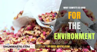 Eco-Friendly Celebrations: Discovering the Best Biodegradable Confetti Options