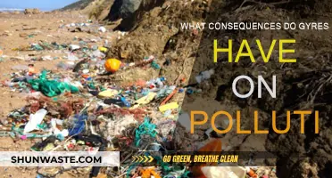Gyres' Impact: Understanding the Devastating Pollution Consequences