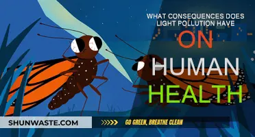 Light Pollution: Impacting Human Health and Wellbeing
