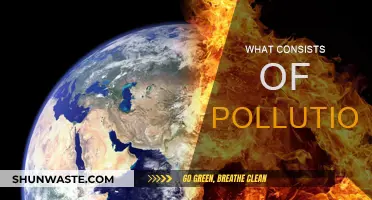 Understanding Pollution: Its Components and Harmful Effects