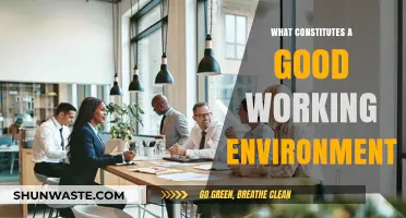 Creating Productive Workplaces: Key Elements of a Good Working Environment