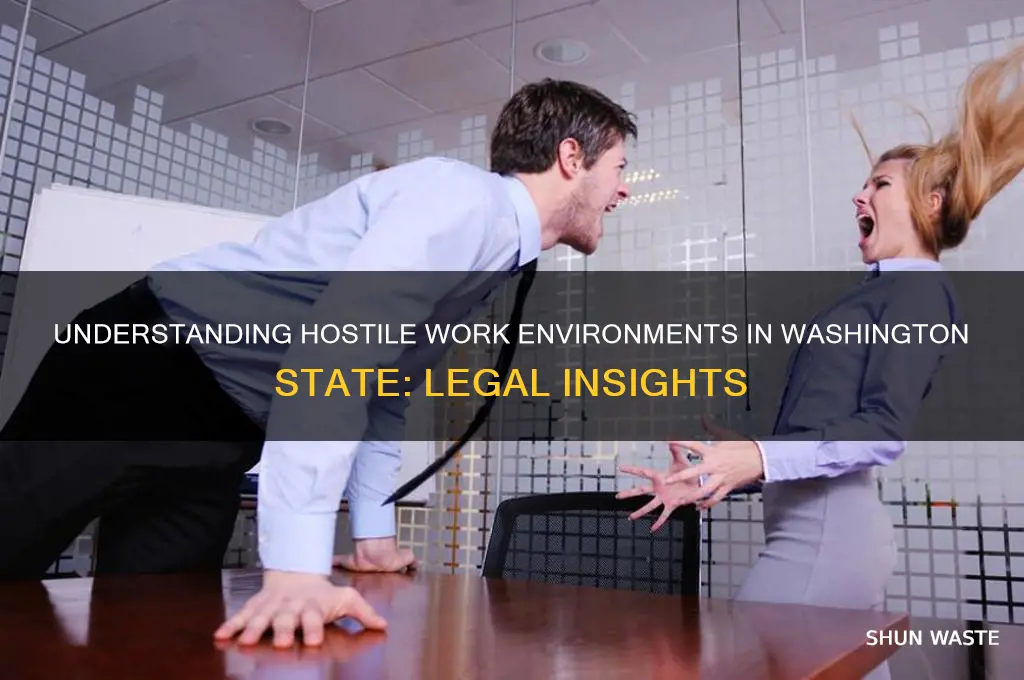 what constitutes a hostile work environment in washington state