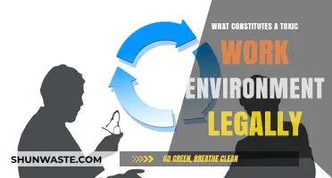 Legal Boundaries: Defining a Toxic Work Environment and Your Rights