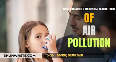 Air Pollution: Understanding Health Impacts and Adverse Effects