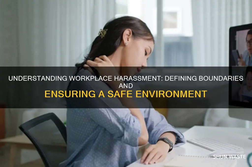 what constitutes harassment in a work environment