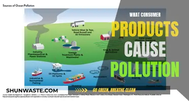 Unveiling the Hidden Polluters: Consumer Products and Their Environmental Impact