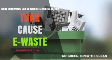 Revive, Reuse, Recycle: Empowering Consumers to Combat E-Waste