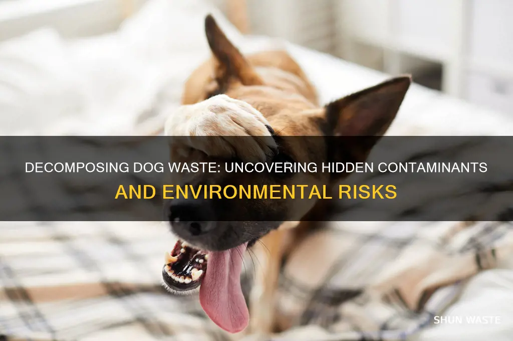 what contaminants are in dog waste that