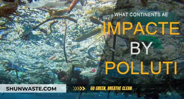 Pollution's Global Reach: Continents Under Threat