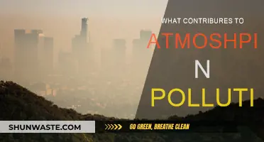 Air Pollution: Understanding the Key Contributors