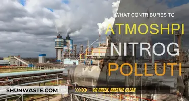 Human Activities and Nitrogen Pollution in the Air