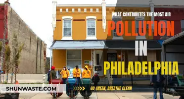 Philadelphia's Air Pollution: What's the Main Culprit?