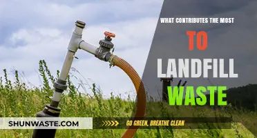 Uncovering the Primary Culprits Behind Mounting Landfill Waste Crisis