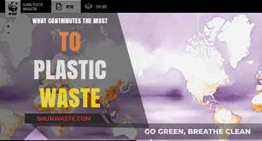 Unveiling the Primary Culprits Behind the Global Plastic Waste Crisis
