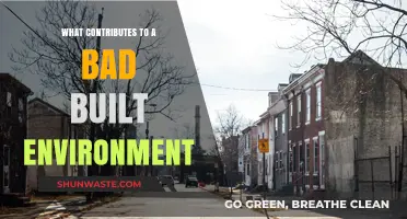 Factors That Create Poorly Designed and Unhealthy Built Environments