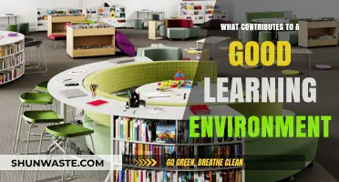 Creating Optimal Learning Spaces: Key Factors for Effective Education